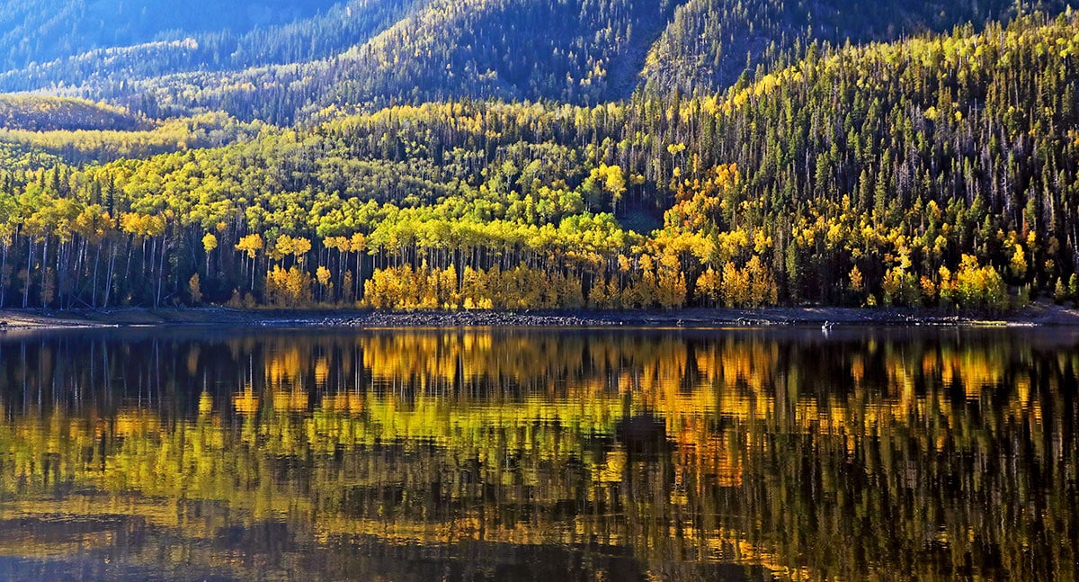 Fall colors Utah