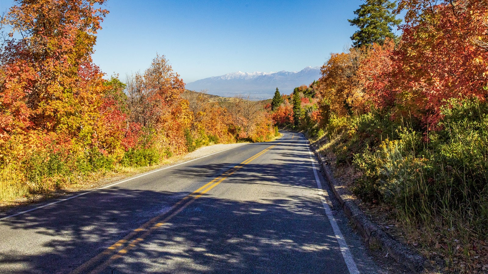 Fall Colors Utah